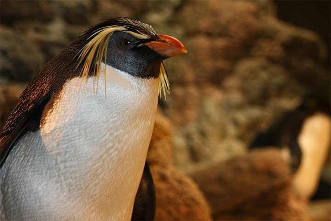 Boston CityPASS® - Harvard Museum of Natural History and the walk between buildings