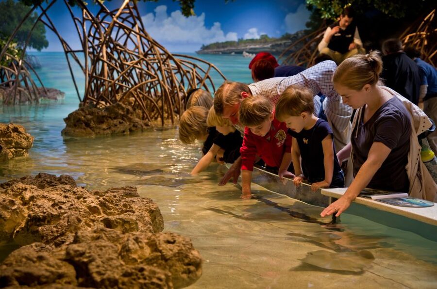 Boston CityPASS®: Save up to 46% at 4 Top Attractions - A smart way to plan your four visits