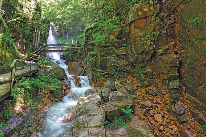 Boston Fall Foliage Day Trip to White Mountains, Lost River Gorge - Key things to know before booking