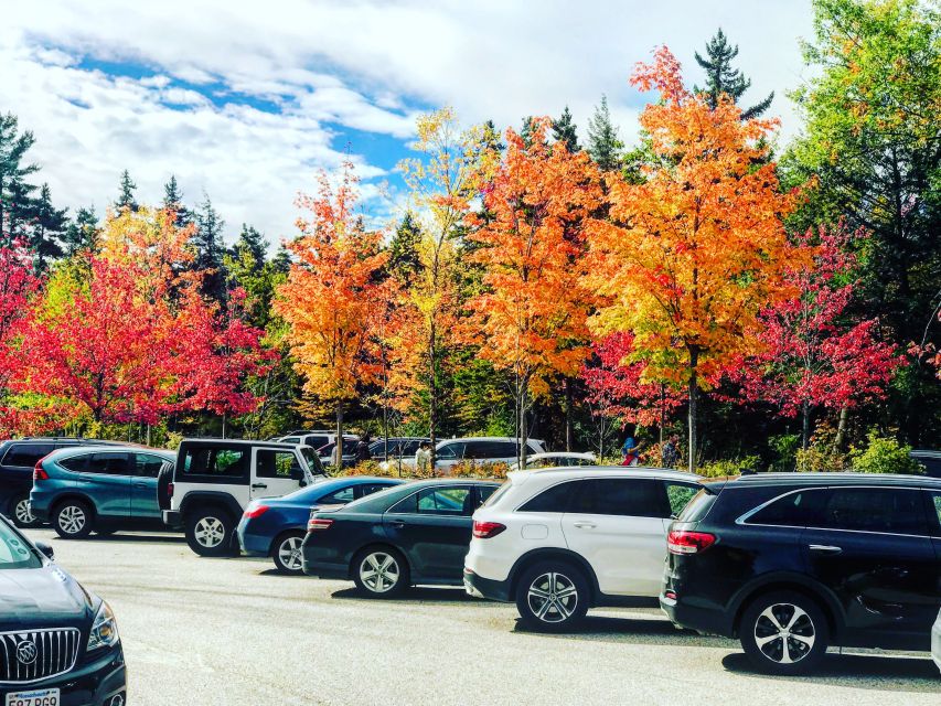 Boston: Fall Foliage Tour - Reading the forest colors on the way