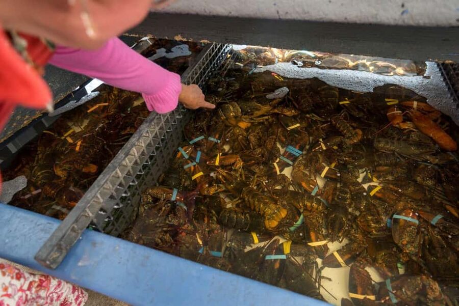 Boston: Guided Seafood Tasting and History Tour - South Boston Waterfront and Fort Point Channel