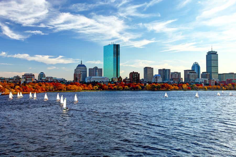 Boston Harbor: Fall Foliage Luncheon Cruise - The buffet lunch and what it means for value