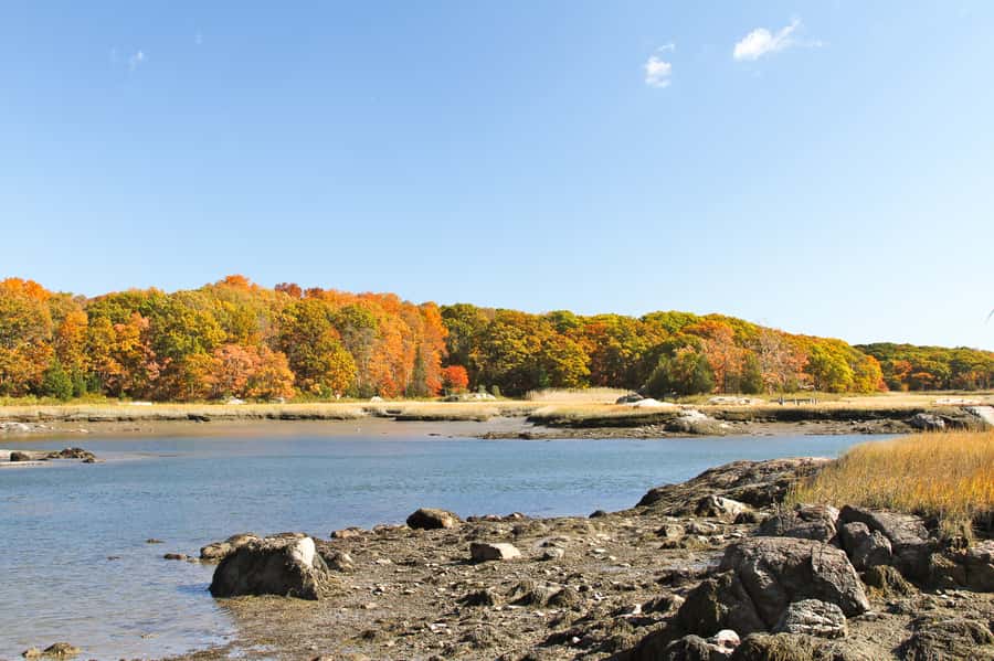 Boston Harbor: Fall Foliage Luncheon Cruise - Finding fall color around Boston Harbor