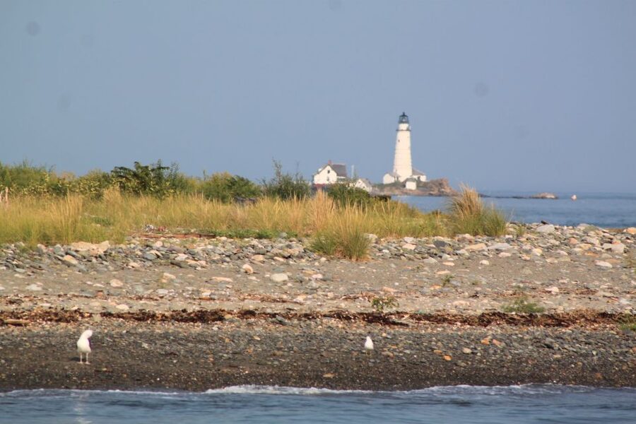 Boston Harbor: Fall Foliage Luncheon Cruise - Passing Spectacle Island and Thompson Island