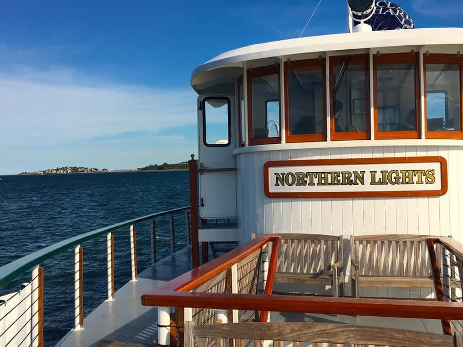 Boston Harbor Fall Foliage Weekend Brunch Cruise - Who should book this fall brunch cruise