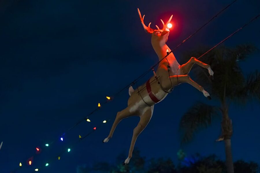 Boston: Holiday Sights and Festive Nights Trolley Tour - Key points to know before you book