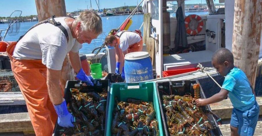 Boston: Kennebunkport Day Trip with Optional Lobster Tour - Leaving Boston for Maine’s coast