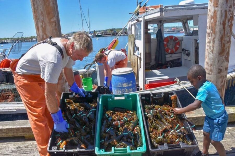 Boston: Kennebunkport Day Trip with Optional Lobster Tour - The optional lobster tour