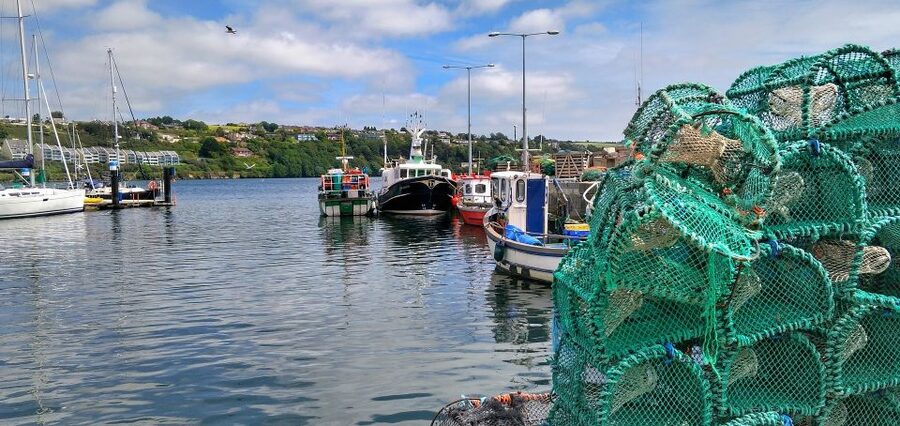 Boston: Kennebunkport Day Trip with Optional Lobster Tour - What $125 gets you