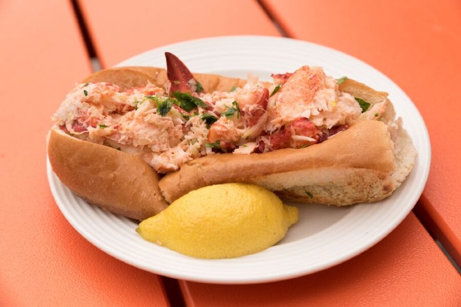 Boston: North End & Little Italy Food Tour with Local Dishes - Key points to know before booking