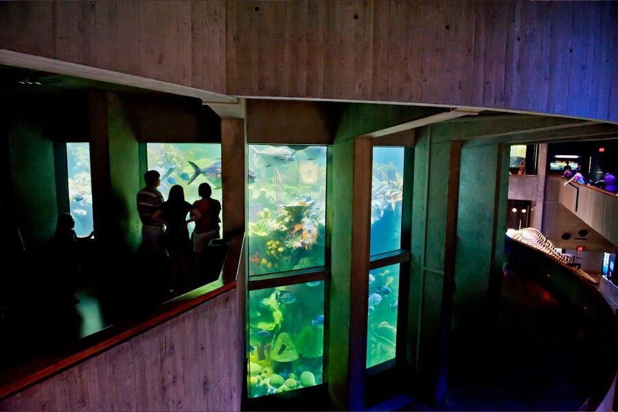 Boston Pass: Save up to 50% - Includes Franklin Park Zoo - How the Boston pass actually works
