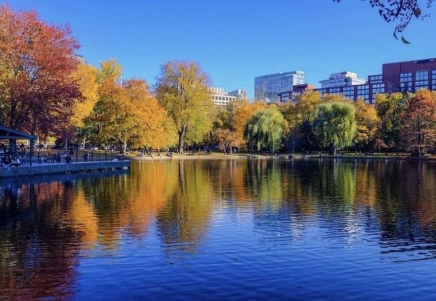 Boston Premium Driving Tour with Boat Cruise and Bunker Hill - Booking Details Worth Knowing