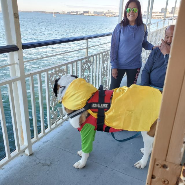 Boston: Scenic Harbor Cruise (Dog-Friendly) - Who should book this harbor cruise?