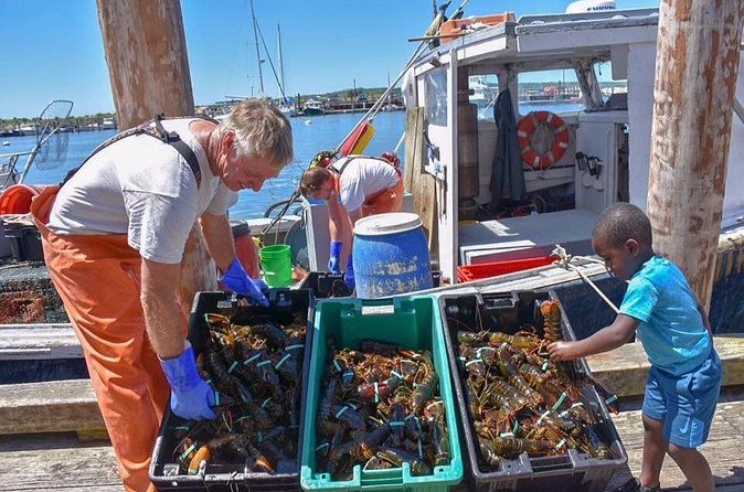 Boston to Kennebunkport with Optional Lobster Tour - Cape Neddick Nubble Lighthouse and the Maine shore