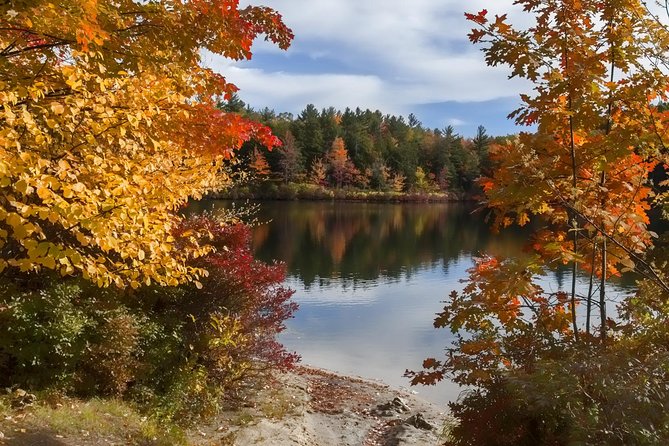 Boston to New Hampshire Fall Foliage White Mountains Day Trip - How the return trip works