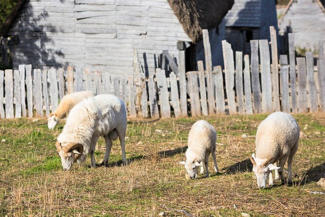 Boston to Plymouth Day-Trip including Quincy, Plimoth Patuxet and Mayflower II - Who should book this tour?