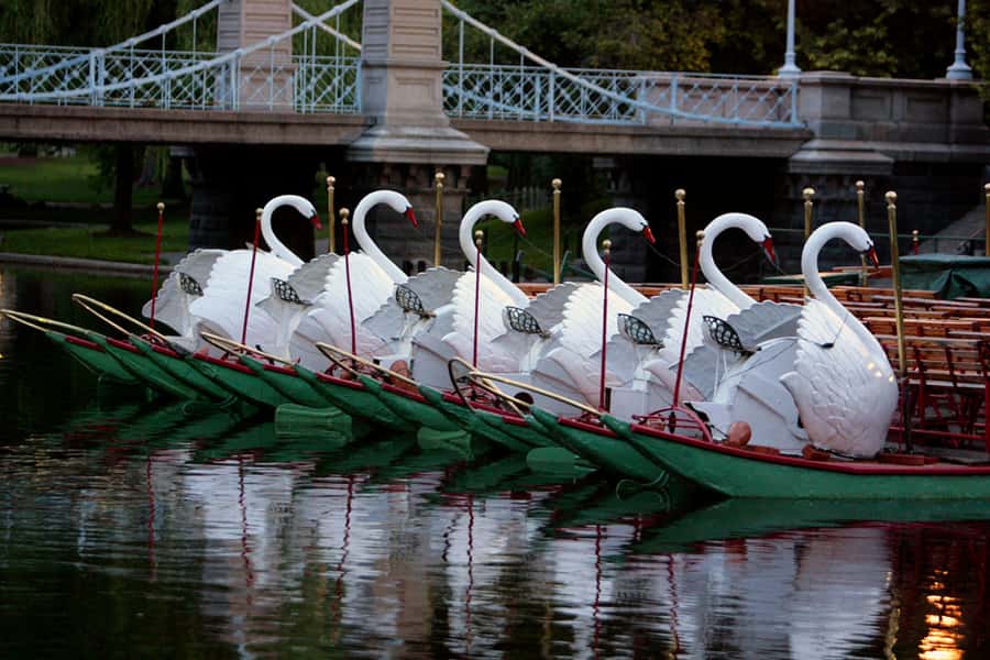 Boston: Top 10 Freedom Trail & 'Cheers' Guided Walking Tour - What the $51 price really covers