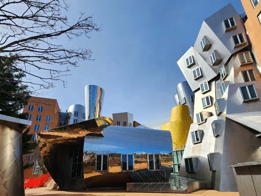 Cambridge, Massachusetts: MIT and Harvard Walking Tour - How much walking and standing should you expect?