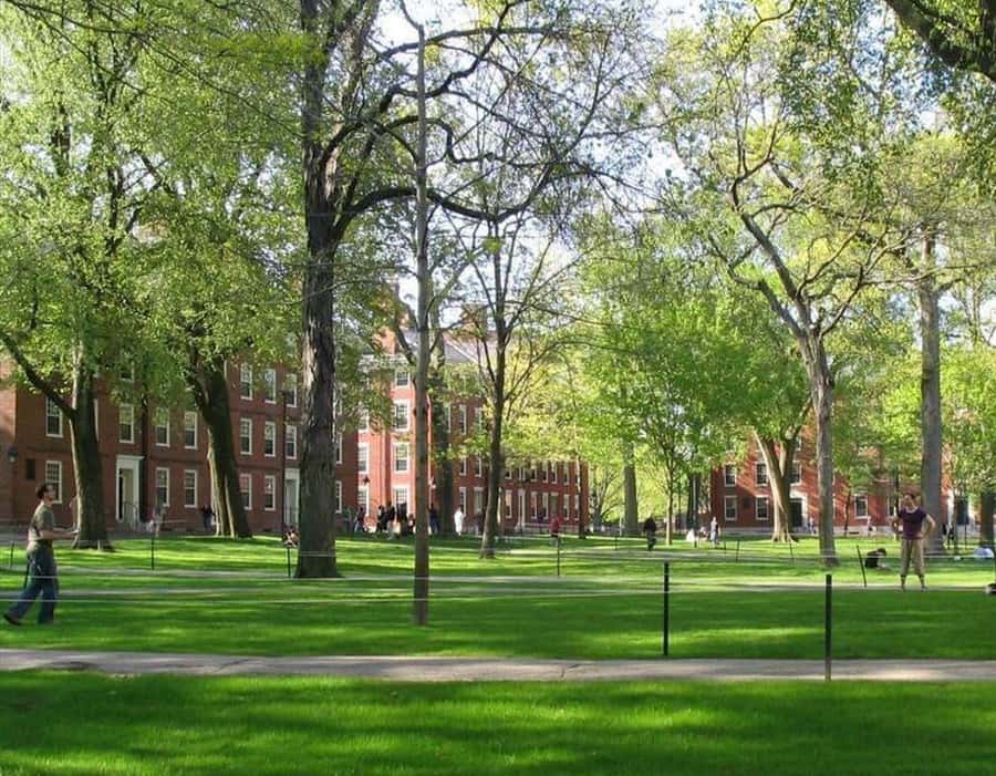 Cambridge, Massachusetts: MIT and Harvard Walking Tour - What the $49 price really covers