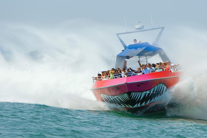 City Cruises Boston Codzilla High-Speed Thrill Boat Ride - Codzilla at a glance