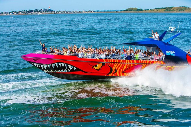 City Cruises Boston Codzilla High-Speed Thrill Boat Ride - Weather cancellations and planning concerns