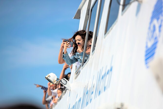 City Cruises Boston Whale Watching Cruise by High-Speed Boat - Is the $85.56 fare a fair deal?
