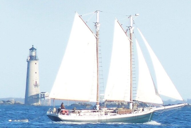 Classic Tall Ship Cruise in Boston Harbor - Boston skyline views from the harbor