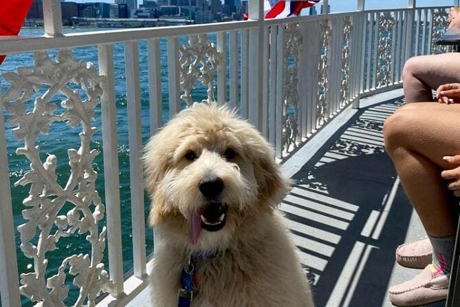 Dog Day of Summer Harbor Cruise in Boston - Food, drinks, and onboard comfort