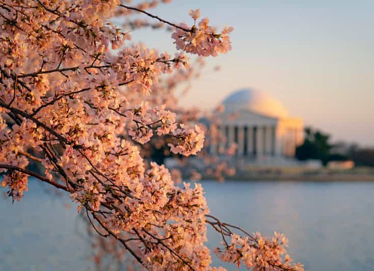 From Boston: 4-Day Tour to New York, D.C.&Niagara Falls - Key points to know before booking
