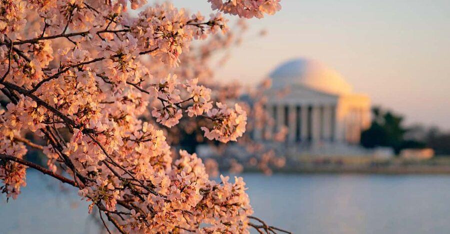 From Boston: 4-Day Tour to New York, D.C.&Niagara Falls - Philadelphia in 30 minutes