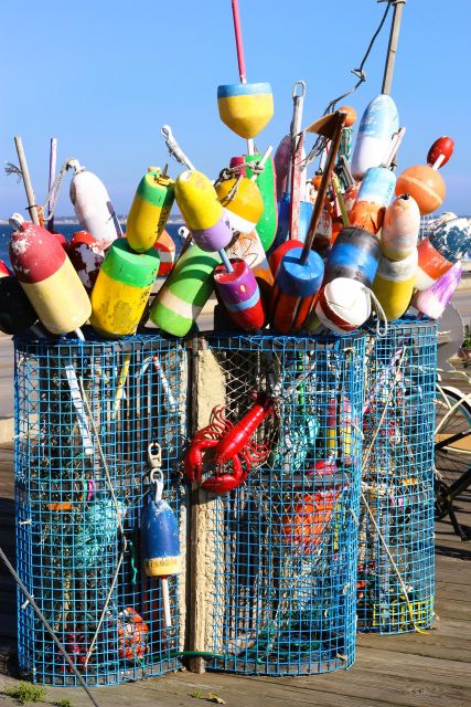 From Boston: Cape Cod and Plymouth Day Tour - What the $159 price really includes