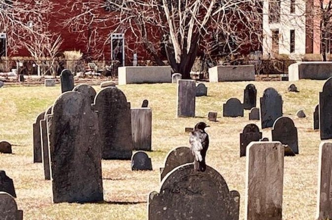 Ghostly Tales of Salem Walking Tour - Timing, walking conditions, and practical planning