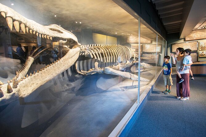 Go City: Boston Explorer Pass - Choose 2, 3, 4 or 5 Attractions - Beyond central Boston: Salem, Cambridge, and Charlestown