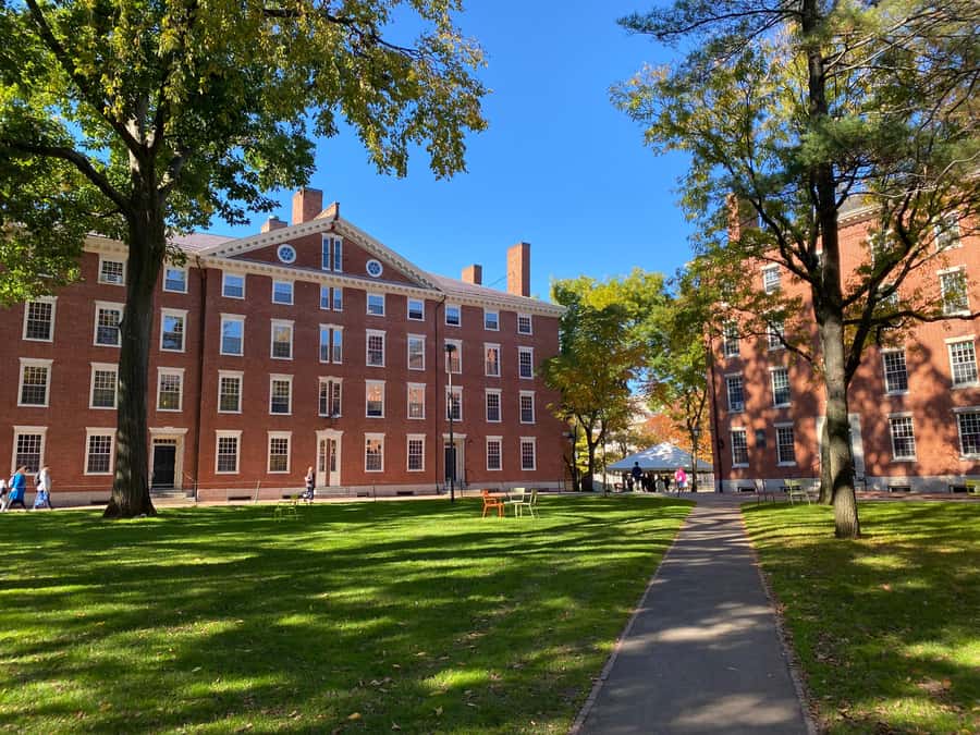 Harvard: America's oldest university - walking tour in French - Meeting at Harvard Square