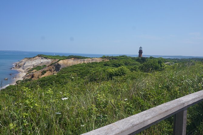 Martha's Vineyard Day Trip with Optional Island Tour from Boston - Who should book this Martha’s Vineyard trip?