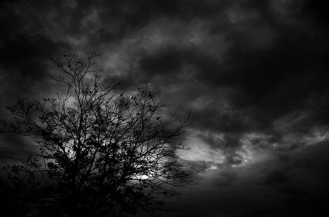 Mysteries and Murders of Salem Guided Night-Time Walking Tour - What the guides do well