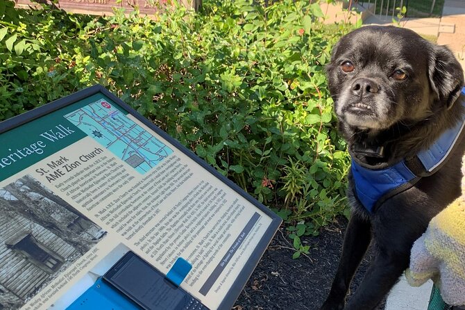 Mysteries on the Move: Scavenger Hunt in Boston - How the Smartphone Game Works