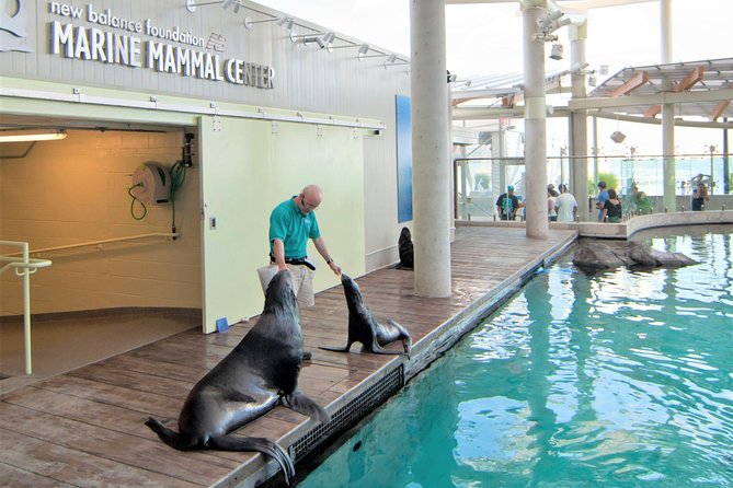 New England Aquarium Admission Ticket in Boston - The Giant Ocean Tank gives the aquarium its center