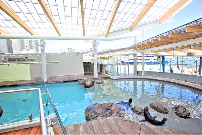 New England Aquarium Admission Ticket in Boston - A two-hour visit works, but pace yourself