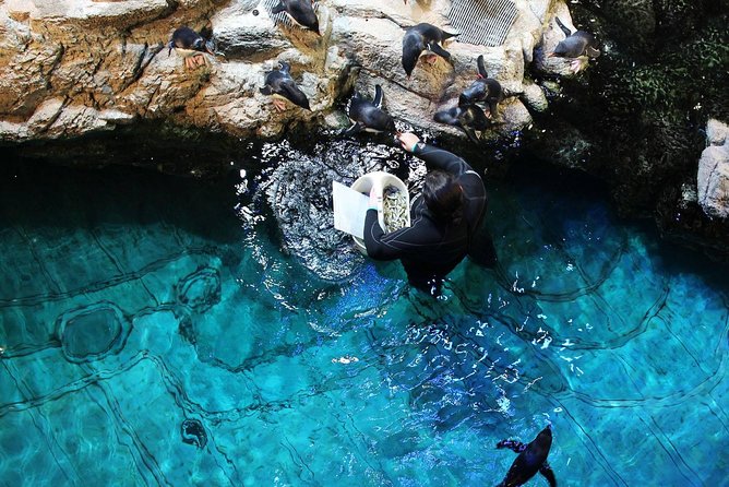New England Aquarium Admission Ticket in Boston - What the admission includes, and what it does not