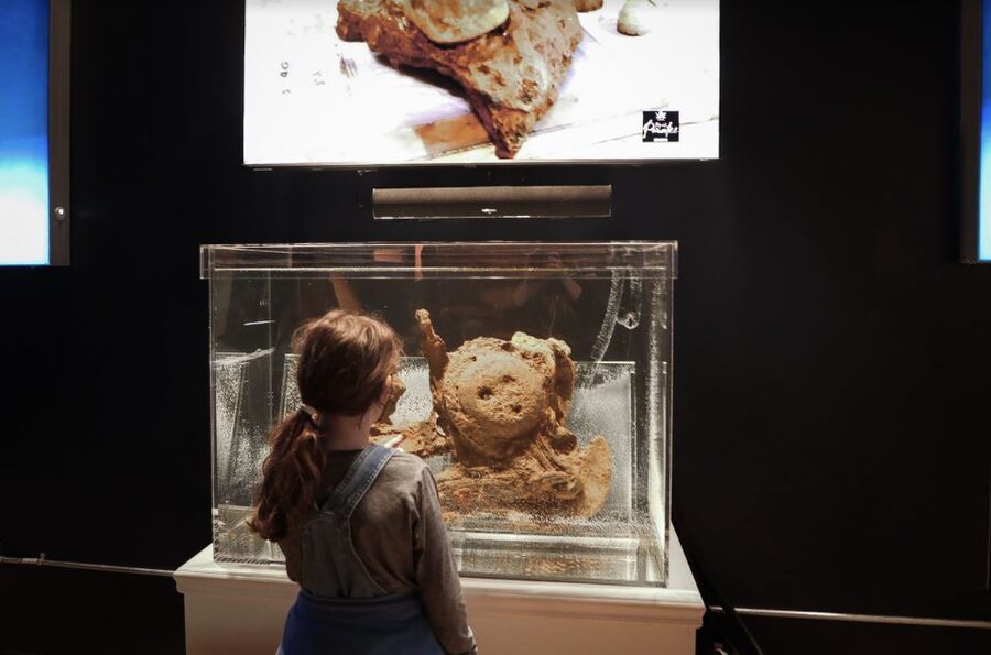 Salem: Pirate Museum with Authentic Treasures Entry Ticket - The Discovery Lab and the ongoing recovery work