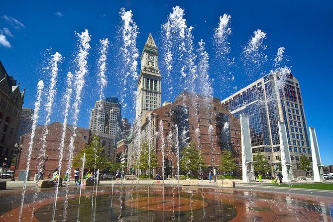 Tour-in-Four -- A Private four hour walking & driving city tour - Cambridge, Harvard, and MIT