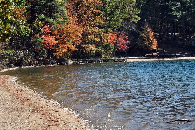 Visit Historic Concord on a Private Day Trip from Boston - The Boston to Concord transfer