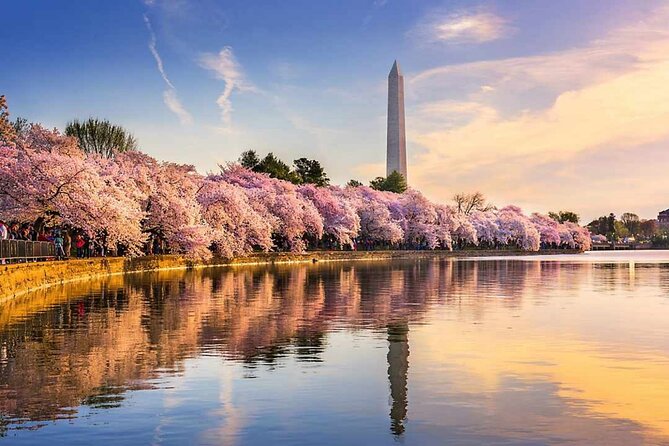 Washington D.C. Cherry Blossom,Baltimore 3-Day Tour from Boston - Why this three-day route works from Boston